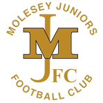 Molesey Juniors FC